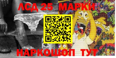 дживик Кингисепп