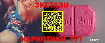 дживик Кингисепп