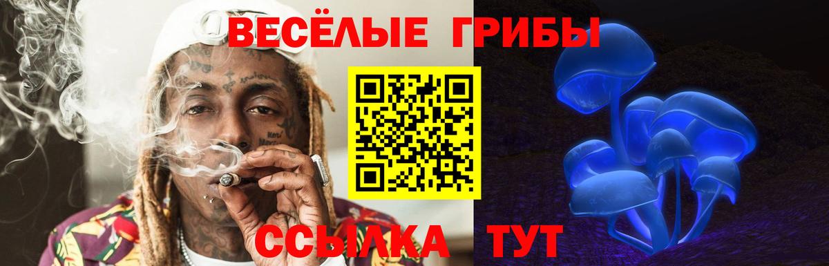 Галлюциногенные грибы Magic Shrooms  Вход с VPN  Чернушка 