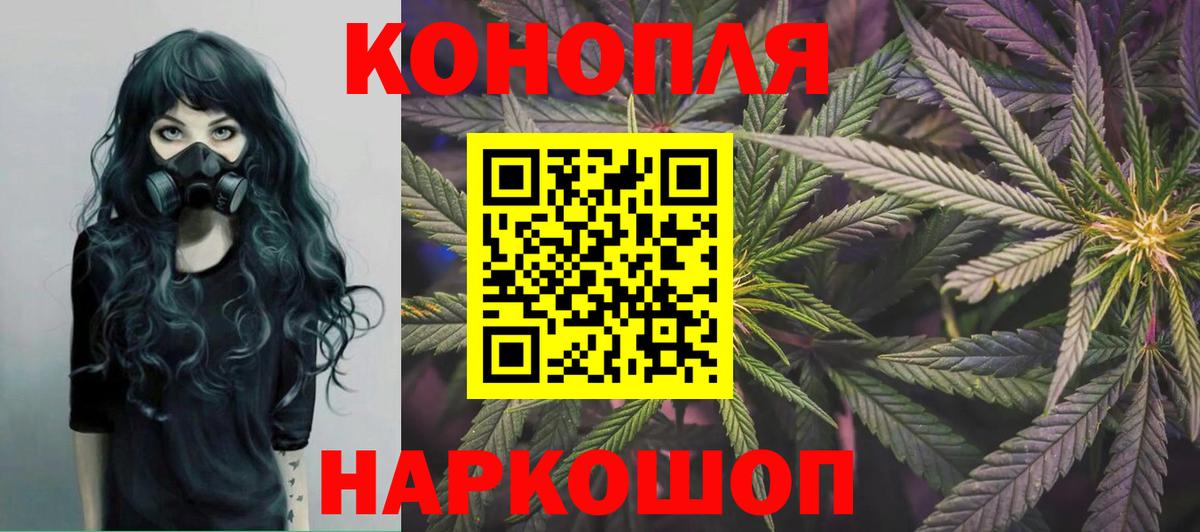 Канабис семена Чернушка